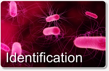 Biometrics